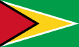 Guyana Nationalflag